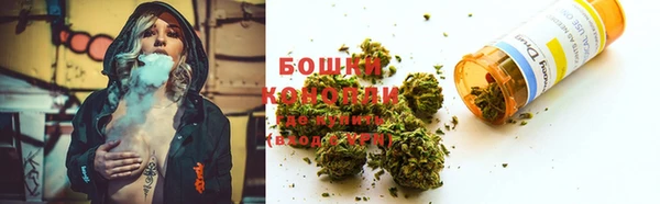 амф Майский