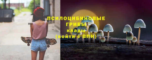 амф Майский