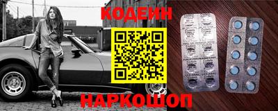 мдпв Камышлов