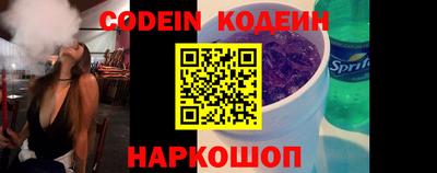 мдпв Камышлов