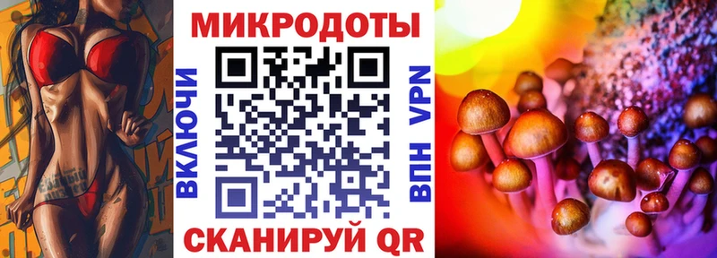 Псилоцибиновые грибы Psilocybe  купить наркотик  Тулун 