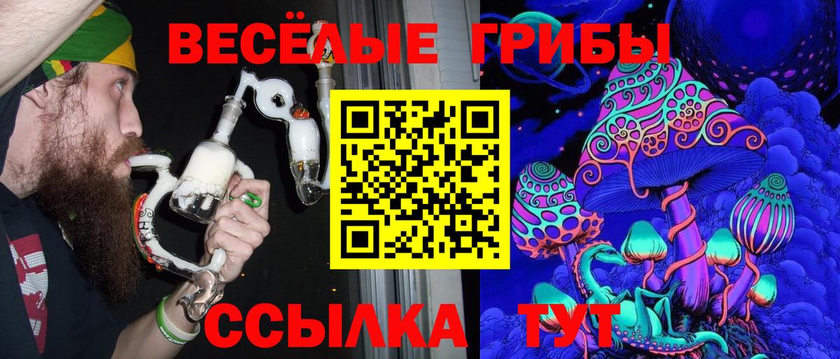 Галлюциногенные грибы Cubensis Тулун
