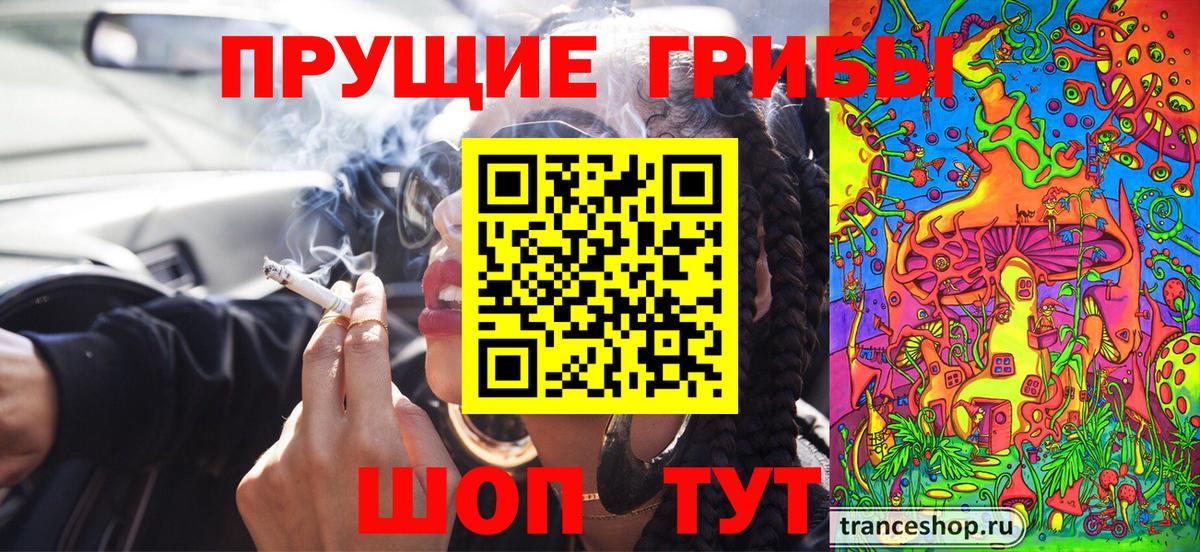 Галлюциногенные грибы прущие грибы  Галлюциногенные грибы GOLDEN TEACHER  Тулун 