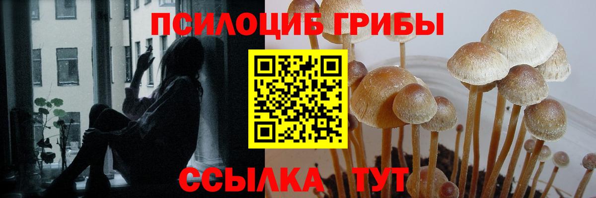 Галлюциногенные грибы мицелий Тулун